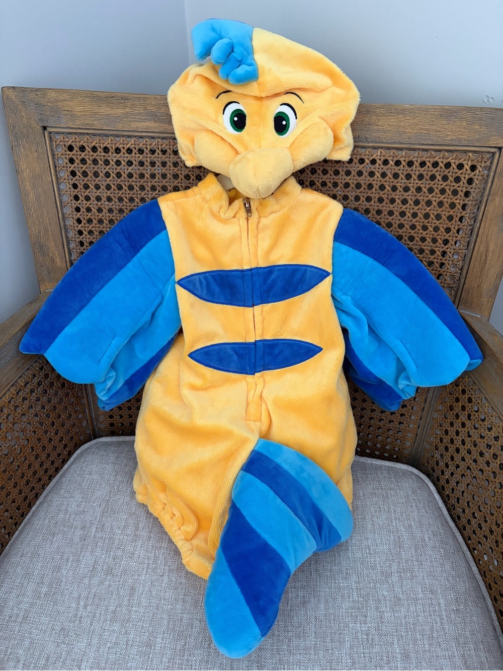 Flounder Costume 12/18 months